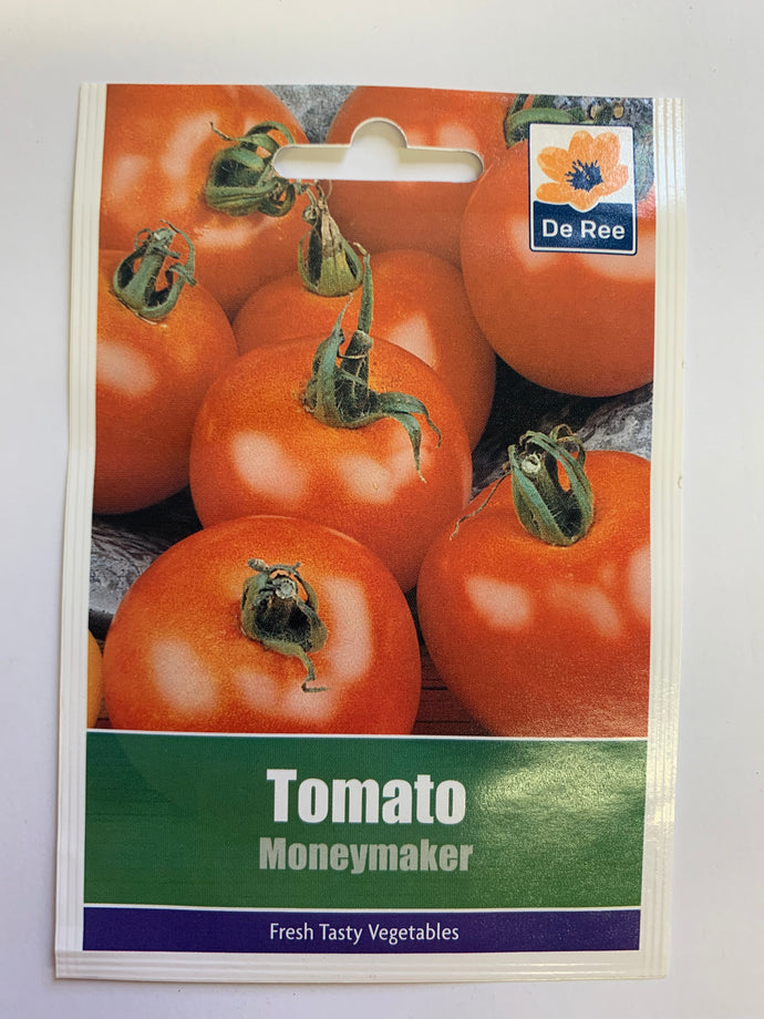 Tomato Moneymaker - UCSFresh