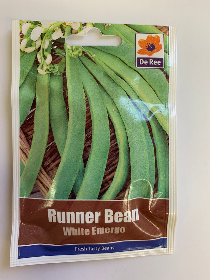 Runner Bean White Emergo - UCSFresh