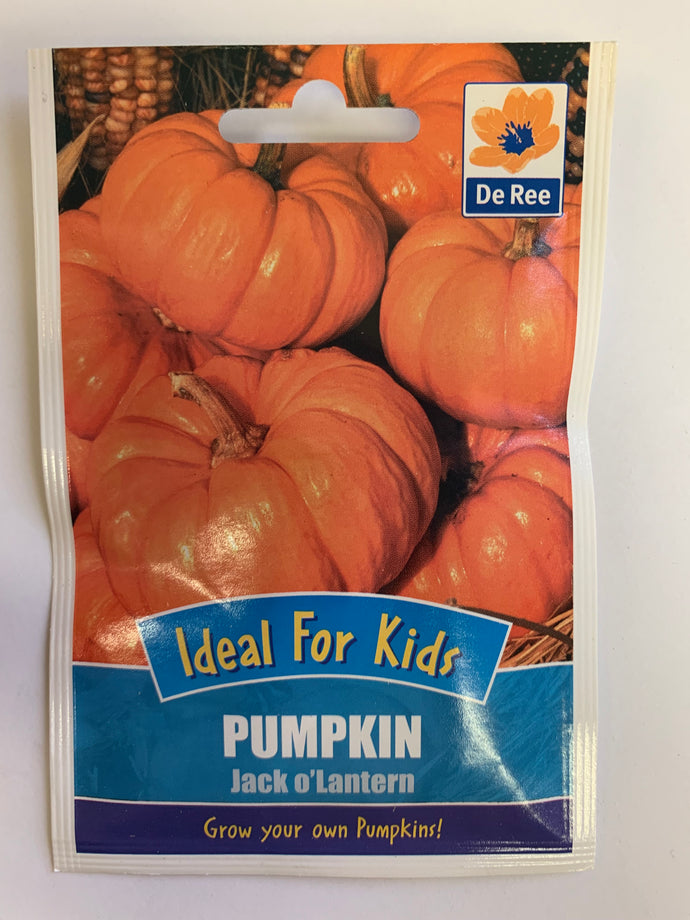 Pumpkin Jack O'Lantern - UCSFresh
