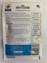 Load image into Gallery viewer, Pumpkin Jack O&#39;Lantern - UCSFresh
