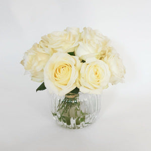 Ivory Roses - UCSFresh