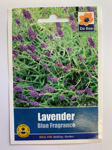 Lavender Blue Fragrance - UCSFresh
