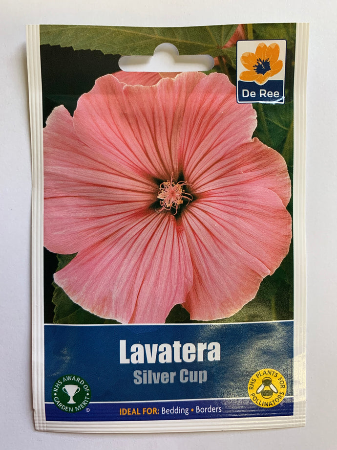 Lavetera Silver Cup - UCSFresh