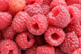 Raspberries - UCSFresh