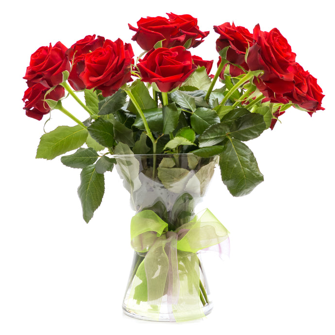 Red Roses - UCSFresh