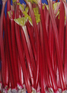 Rhubarb "Raspberry Red" - UCSFresh