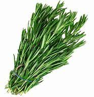 Rosemary - UCSFresh