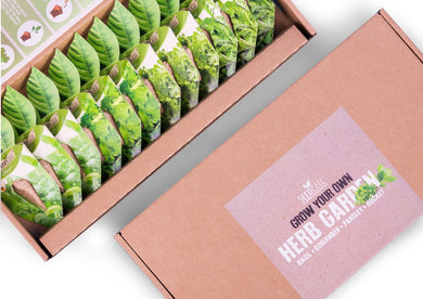 SeedCell Herb Garden Selection Box - UCSFresh
