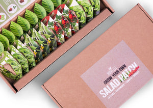 Salad Patch Selection Box - UCSFresh