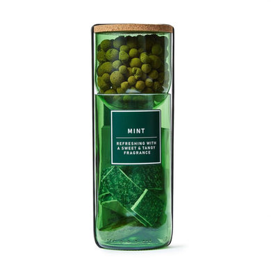 Hydro Herbs - Mint - UCSFresh