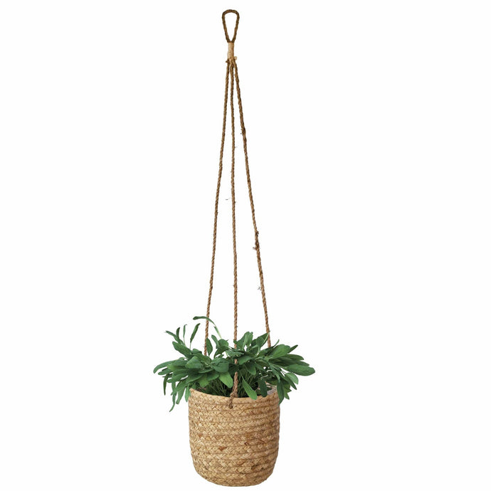Woven Hanging Plant Pots - UCSFresh