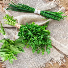 Load image into Gallery viewer, Trio of organic aromatic herbs - Grow at home - UCSFresh
