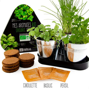 Trio of organic aromatic herbs - Grow at home - UCSFresh