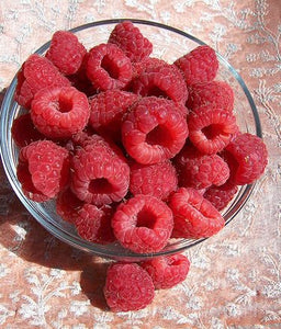 Raspberry "Polka" - UCSFresh