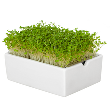 Load image into Gallery viewer, The Heimgart Microgreen starter kit. - UCSFresh
