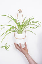 Load image into Gallery viewer, Peg Wall Planter - Light Tan - UCSFresh
