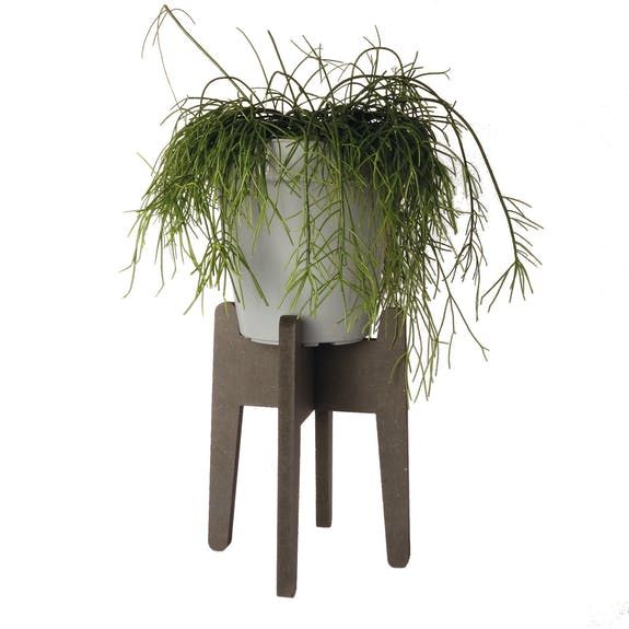 By WOOM Plant Stand Large - UCSFresh