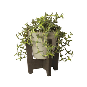 By WOOM Plant Stand Small - UCSFresh